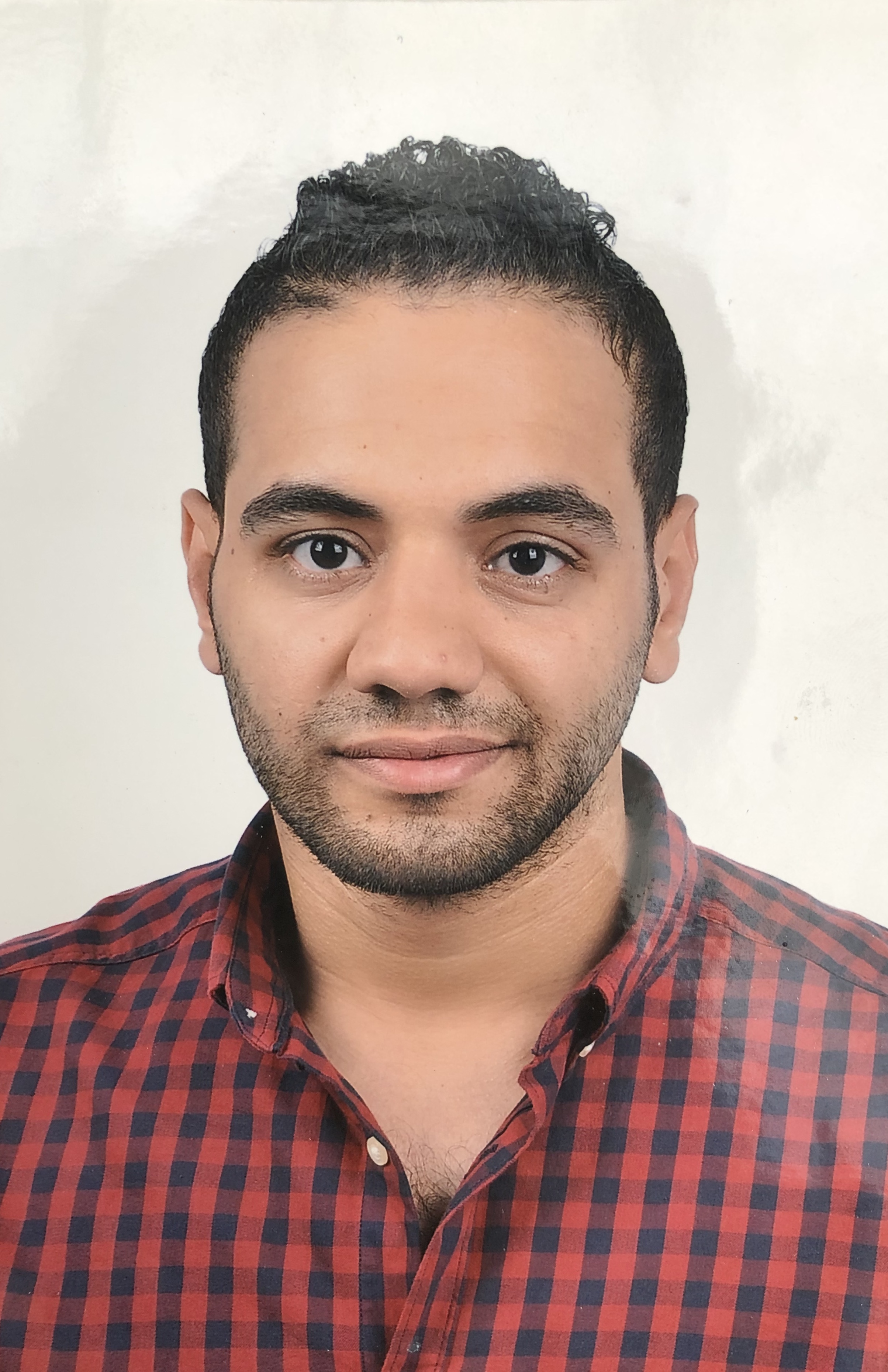 Thesis polymtl picture