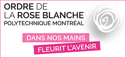 Ordre de la rose blanche