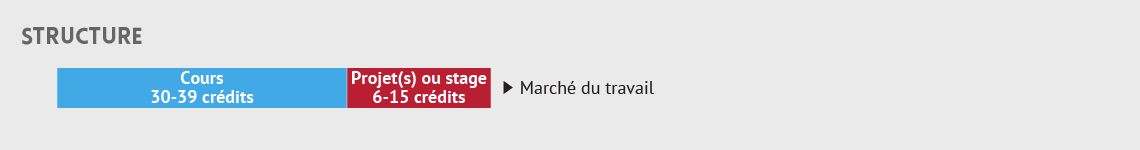 Structure Maîtrise professionnelle et maîtrise modulaire à  Polytechnique Montréal