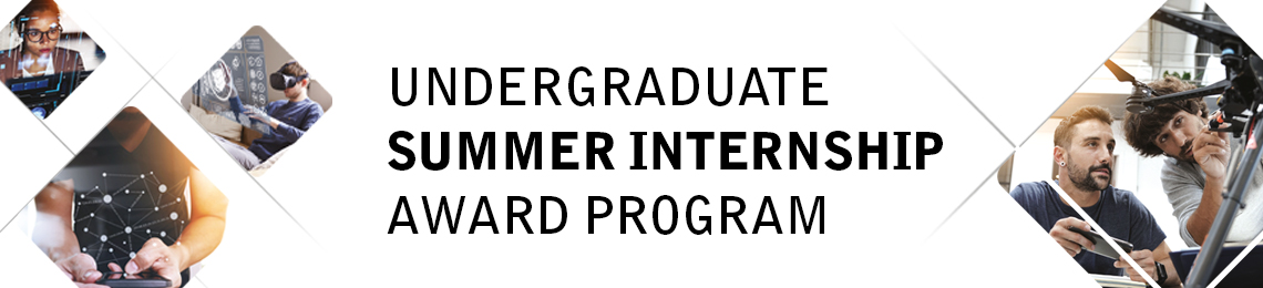 Undergraduate Summer Internship Award Program