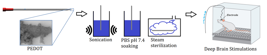 In vivo bioelectronics