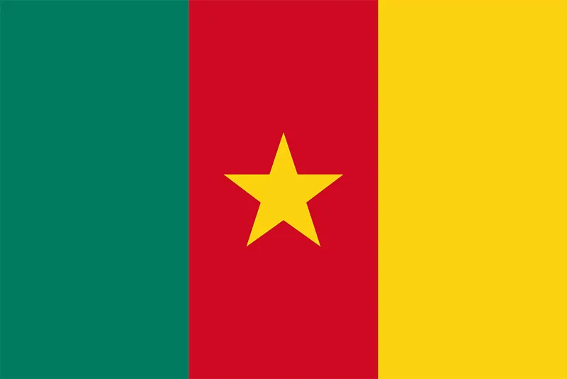 Drapeau Cameroun