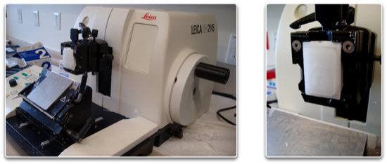 Microtome (Leica RM2145) Microtome (Leica RM2145)
