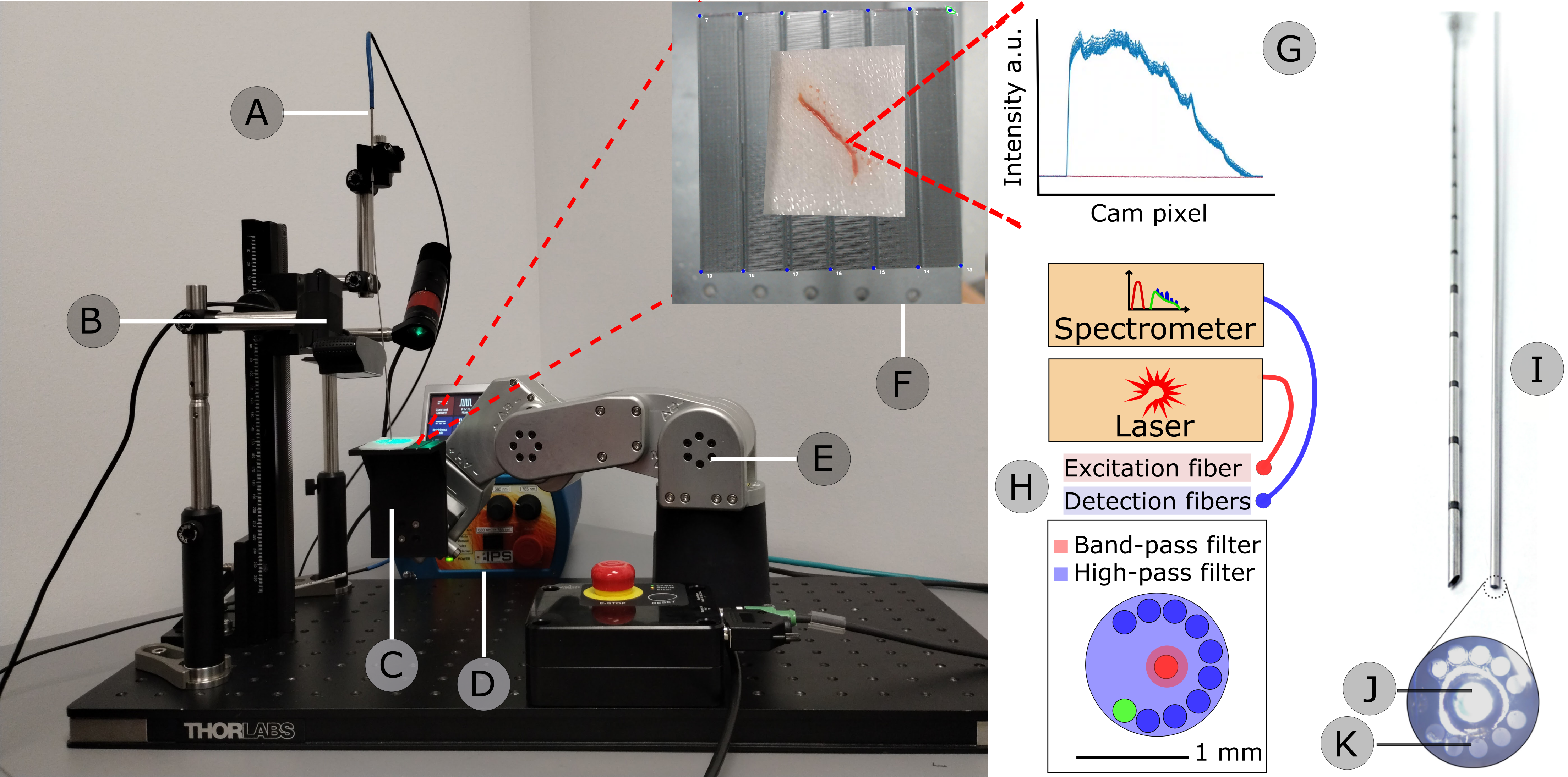 Cancer confirmation workflow using Raman spectroscopy Diagram showing the workflow for using Raman spectroscopy (RS) to analyze biospy samples manipulated by a robotic arm. Custom RS probe used in the operating room shown