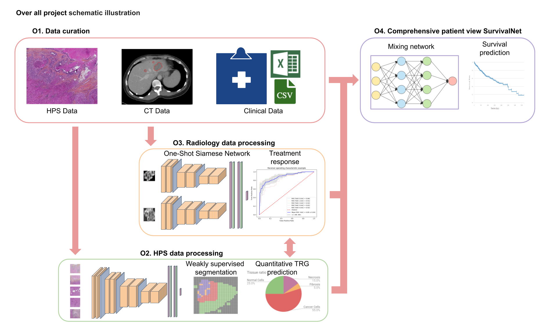 Radiomics radiologiques profondes en oncologie du foie Radiomics radiologiques profondes en oncologie du foie