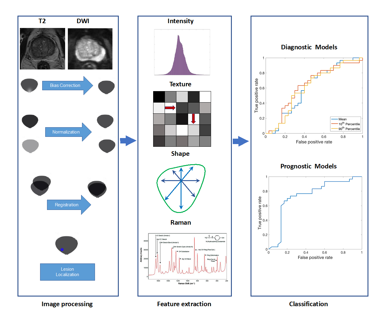 Rôle des biomarqueurs de résonance magnétique quantitative dans les interventions ciblant les tumeurs de la prostate (Stephanie Alley)
