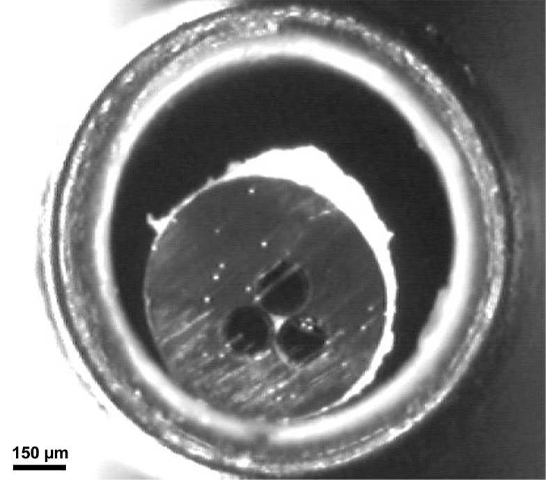 Extrusion de structures de fibres optiques complexes pour la détection de forme et les applications biomédicales (Pierre Lorre)