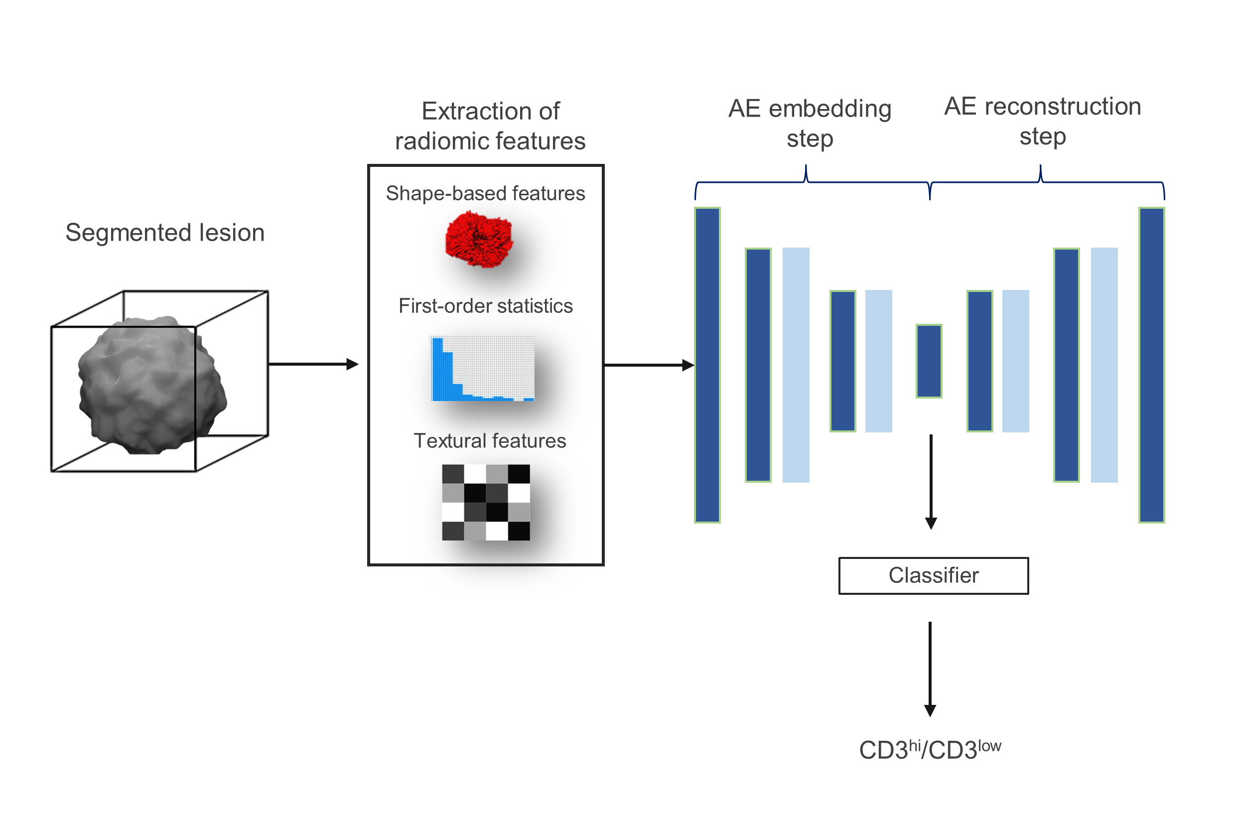 CD3 tumor classification using radiomics and autoencoder Radiomics based image processing pipeline for CD3 classification from a tumor segmentation