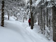 Mésangeai cabin, March 10th-11th 2024