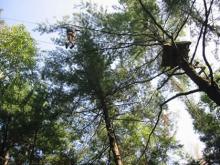 Arbraska, July 13th 2006