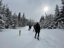 Montagne Noire, 19-20 mars 2023 Montagne Noire, 19-20 mars 2023