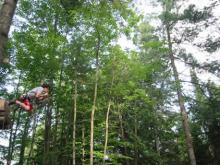 Arbraska, 13 juillet 2006 Arbraska, 13 juillet 2006