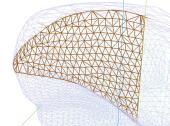 surface_cut_0.jpg