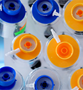 L'initiative nationale RampUp, qui vise à aider le Canada à passer rapidement de la conception de vaccins et de traitements à une production à grande échelle, entre dans une nouvelle phase. L'initiative nationale RampUp, qui vise à aider le Canada à passer rapidement de la conception de vaccins et de traitements à une production à grande échelle, entre dans une nouvelle phase.