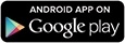 Google Store
