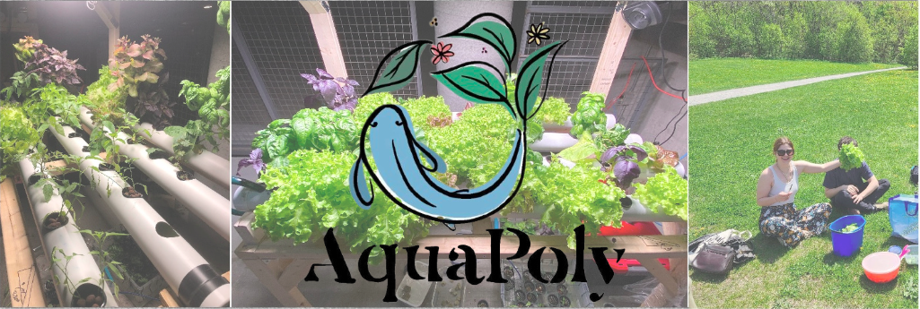 AquaPoly